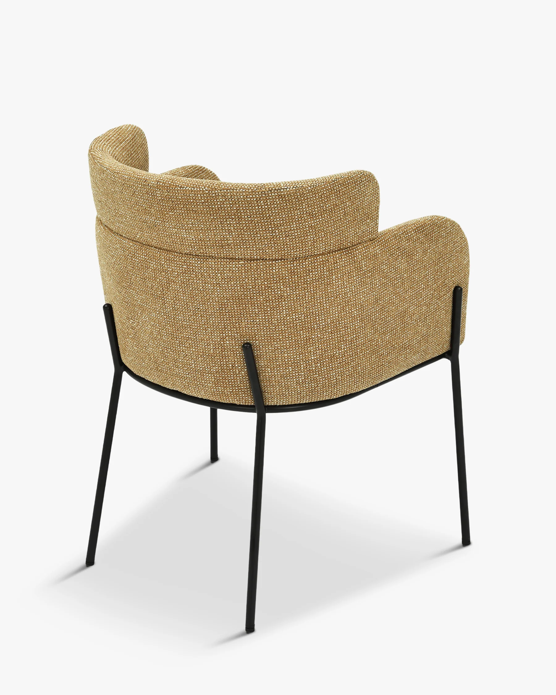 Baron - Image 6