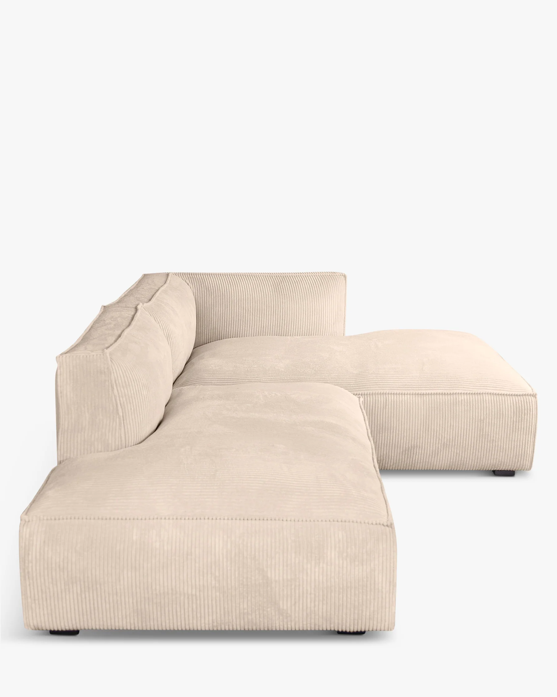 Auster - Image 4