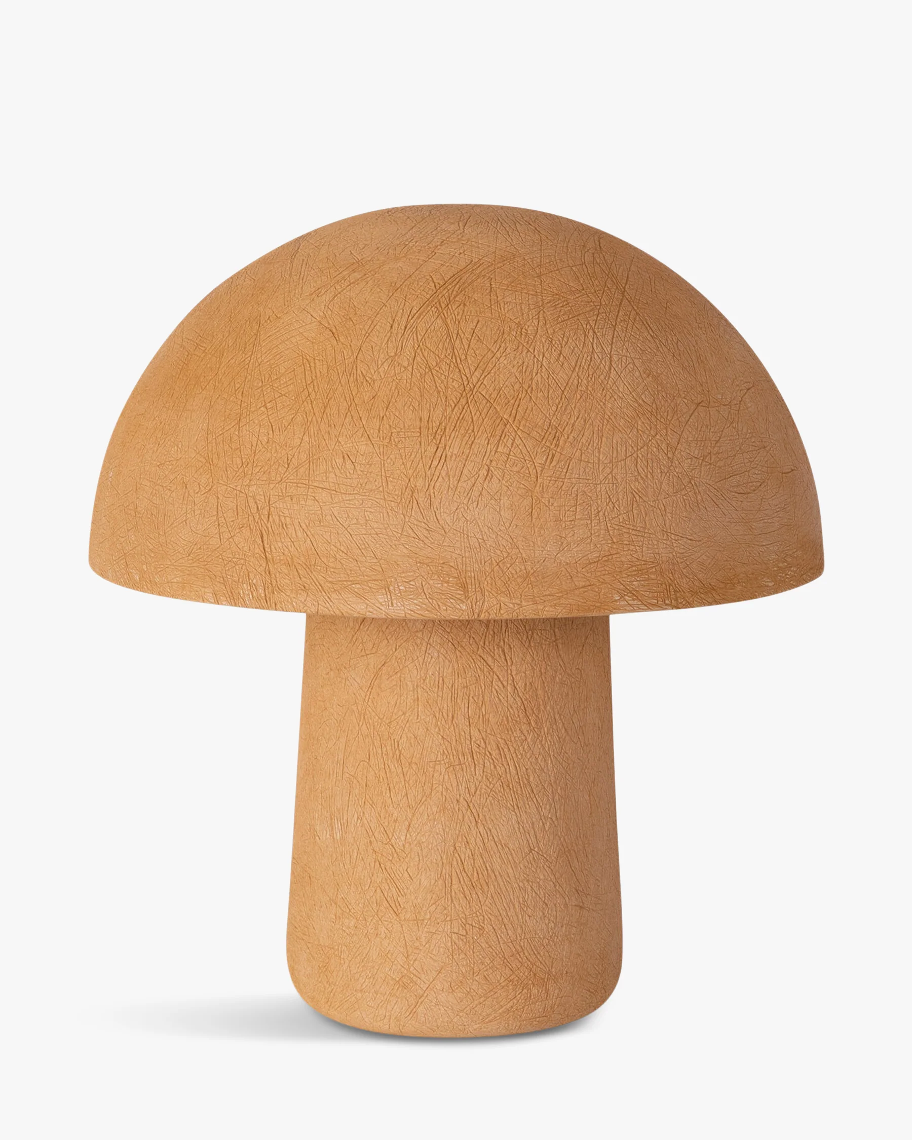 Champi - Image 2