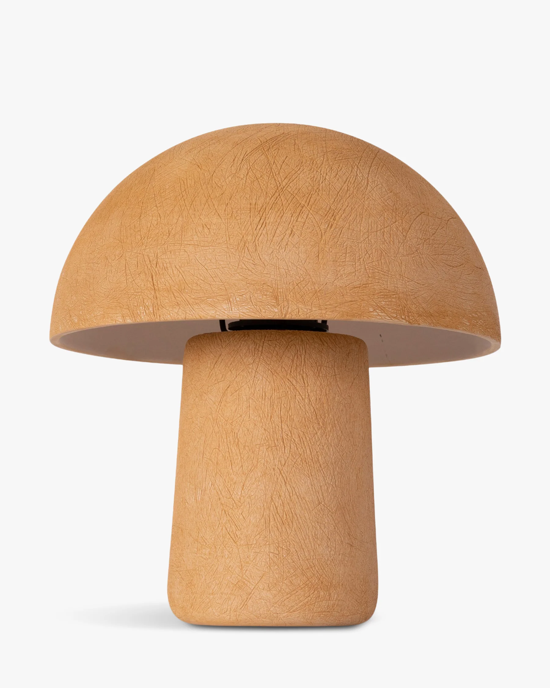 Champi - Image 3