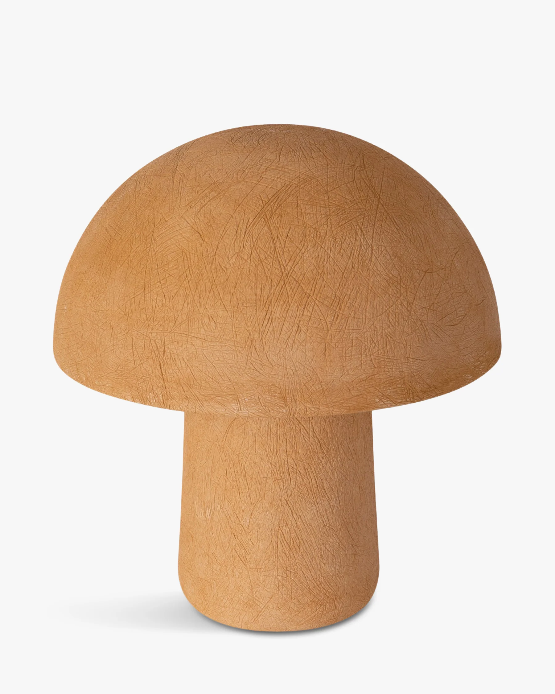 Champi - Image 4