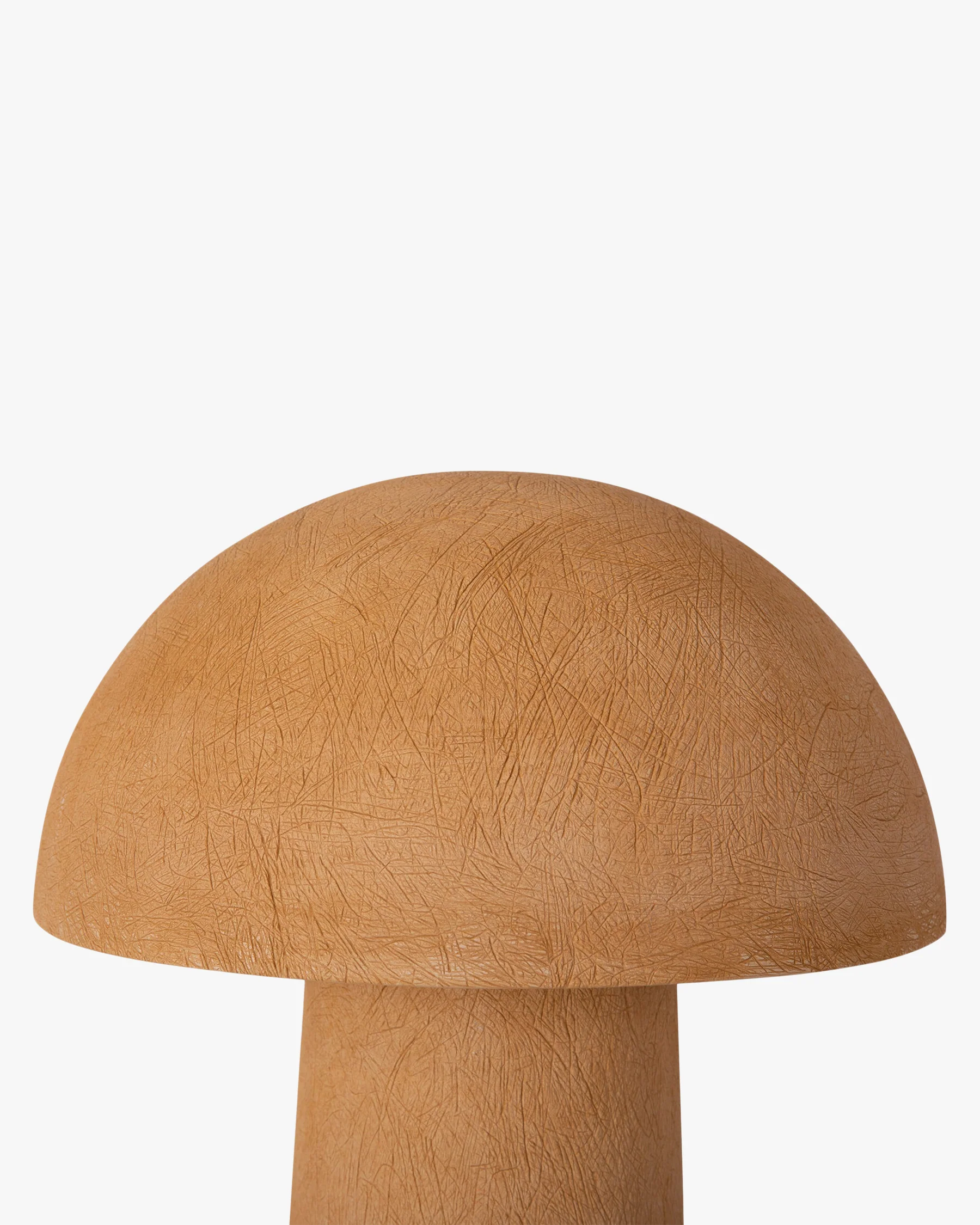 Champi - Image 5